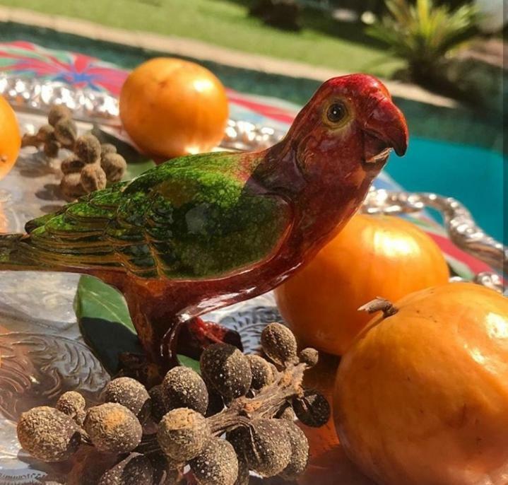 Pousada Villa Jambo Petropolis  Bagian luar foto